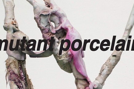 MUTANT PORCELAIN @ SO WHAT SPACE