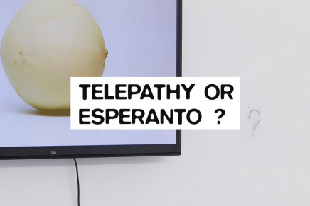 Telepathy or Esperanto ?  (Essay + Exhibition)