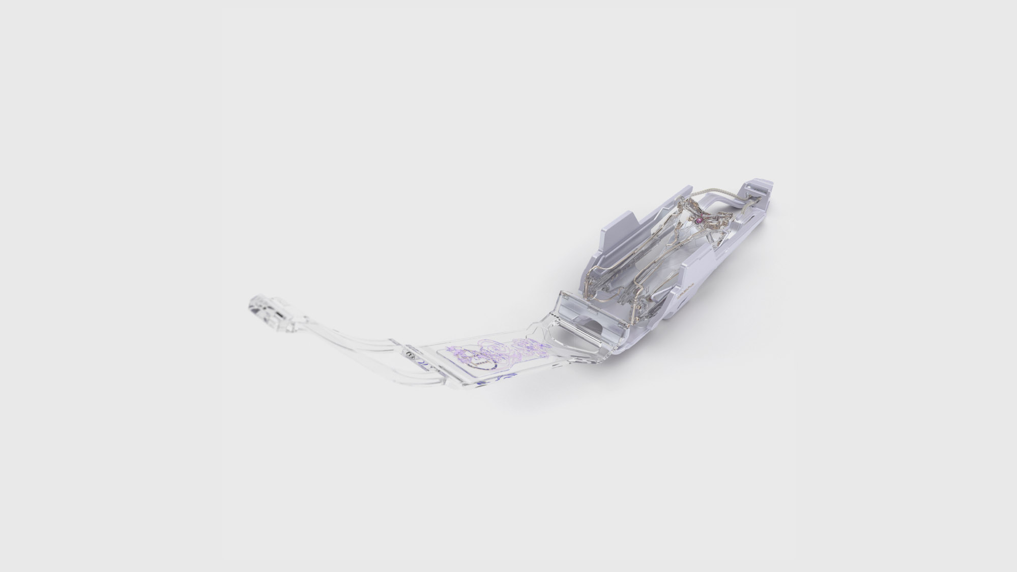 Dasychira  ∐ Coproduct