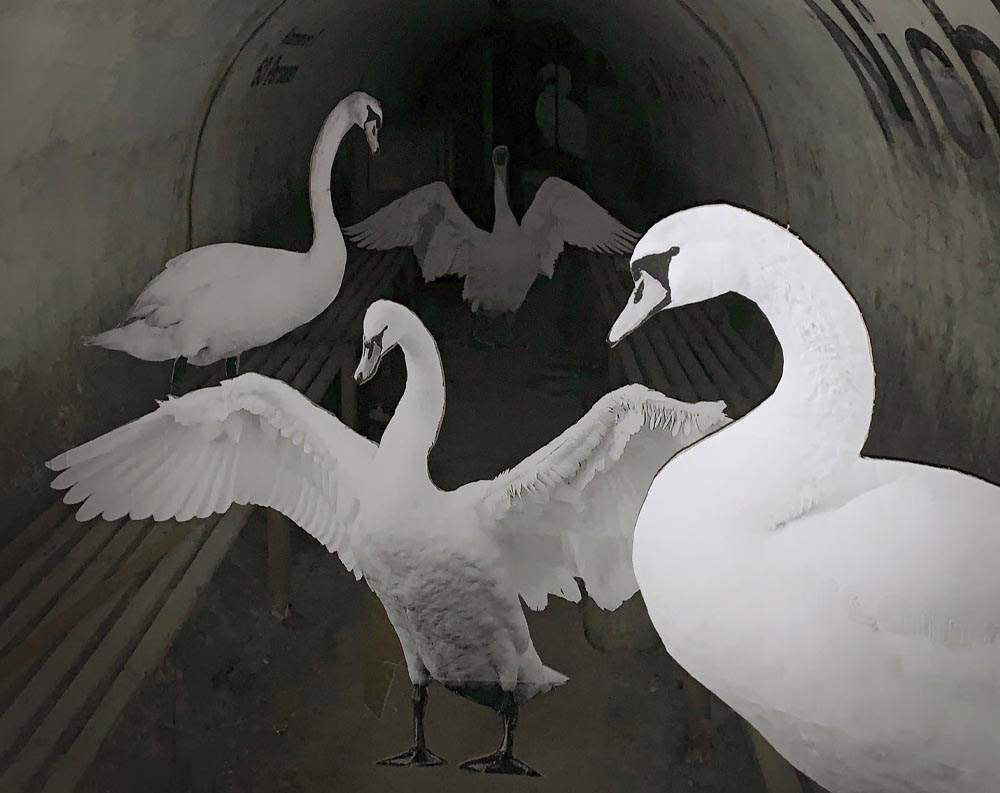 SWAN TUNNEL — Group presentation at the Abandoned WW II Tunnel, Dresden