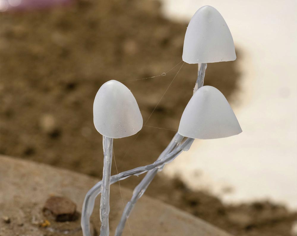 NIGHTCRAWLERS — Pinar Marul at Eldem Sanat Alanı|Fırın, Eskisehir, Turkey