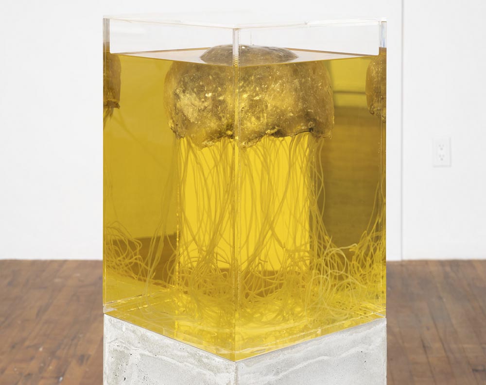 NIGHT BLOOM CENTRAL — Silas Inoue at Ulterior, New York