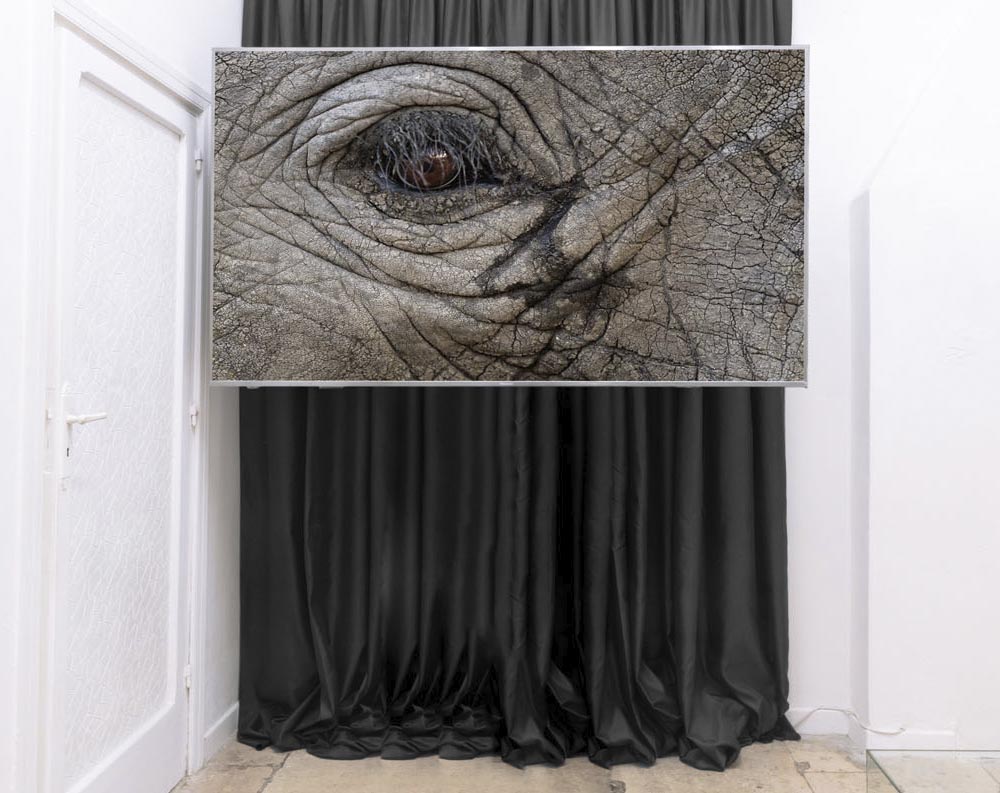 ECOTONI II — Group show presented by Like A Little Disaster, Polignano a mare