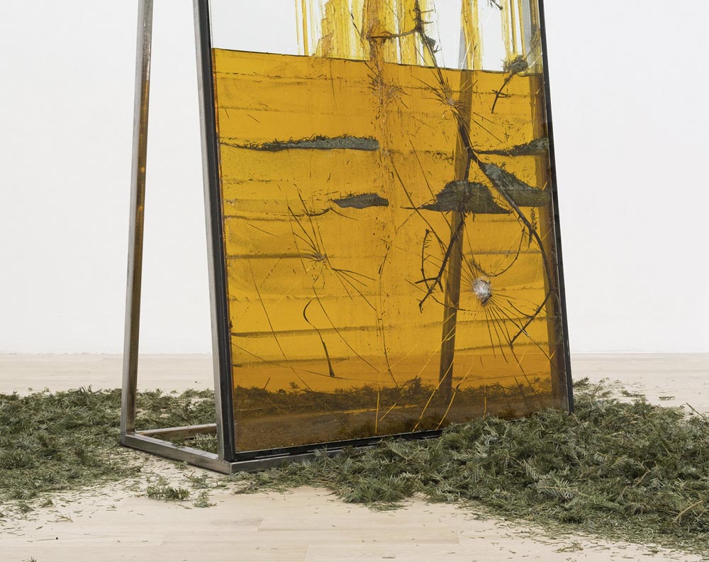 CONIFEROUS SUCCESSION — Jura Shust at Management, New York