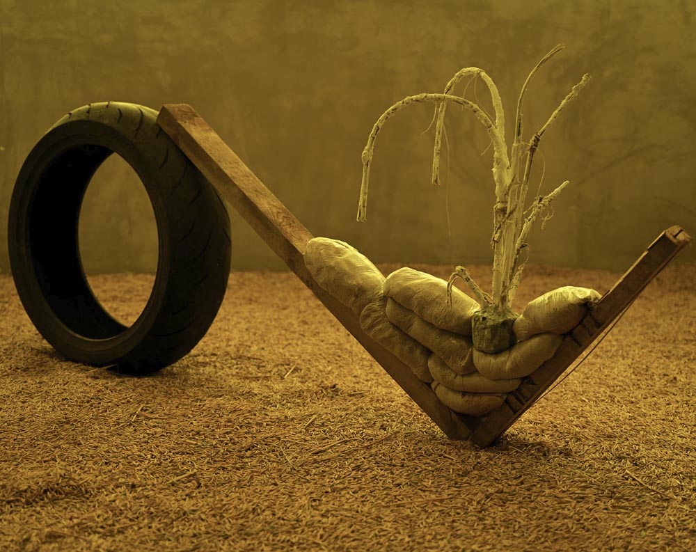 IN THE GLEAM OF DANCING INSECTS — Zuza Piekoszewska at Łęctwo, Poznań, Poland