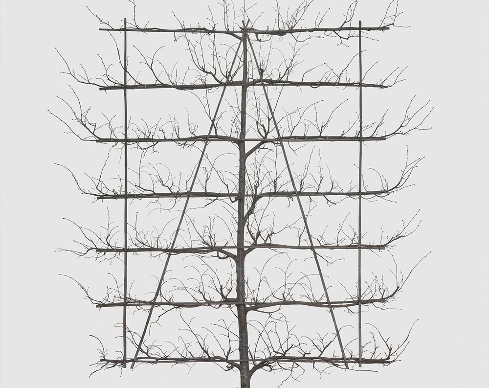 SHORT CIRCUIT — Marta Zgierska at Galerie FaVU, Brno