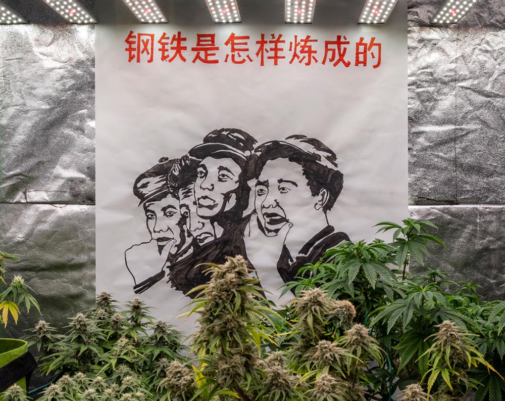 BIG MOTHER — Group show at secret location