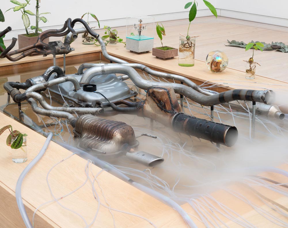 ﻿Lower Lifeforms LOWER LIFEFORMS — Silas Inoue at Horsens Art Museum, Horsens, Denmark