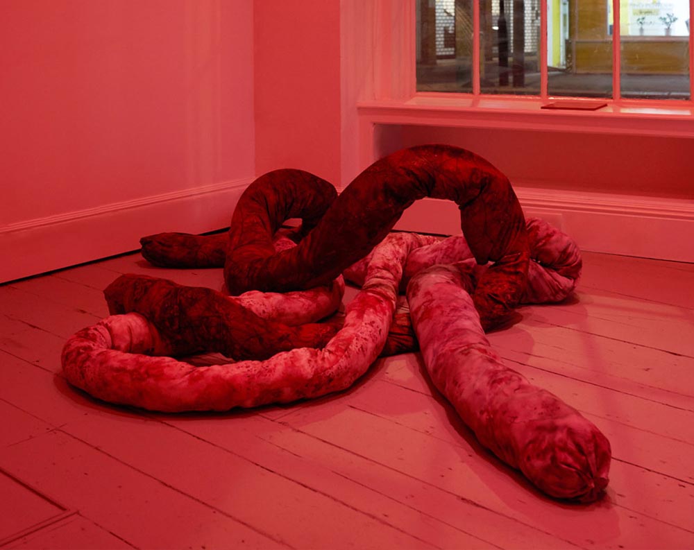 EVER-EVOLVING ECHOES — ﻿Joanna Wierzbicka at UPPER ANKYLE, London