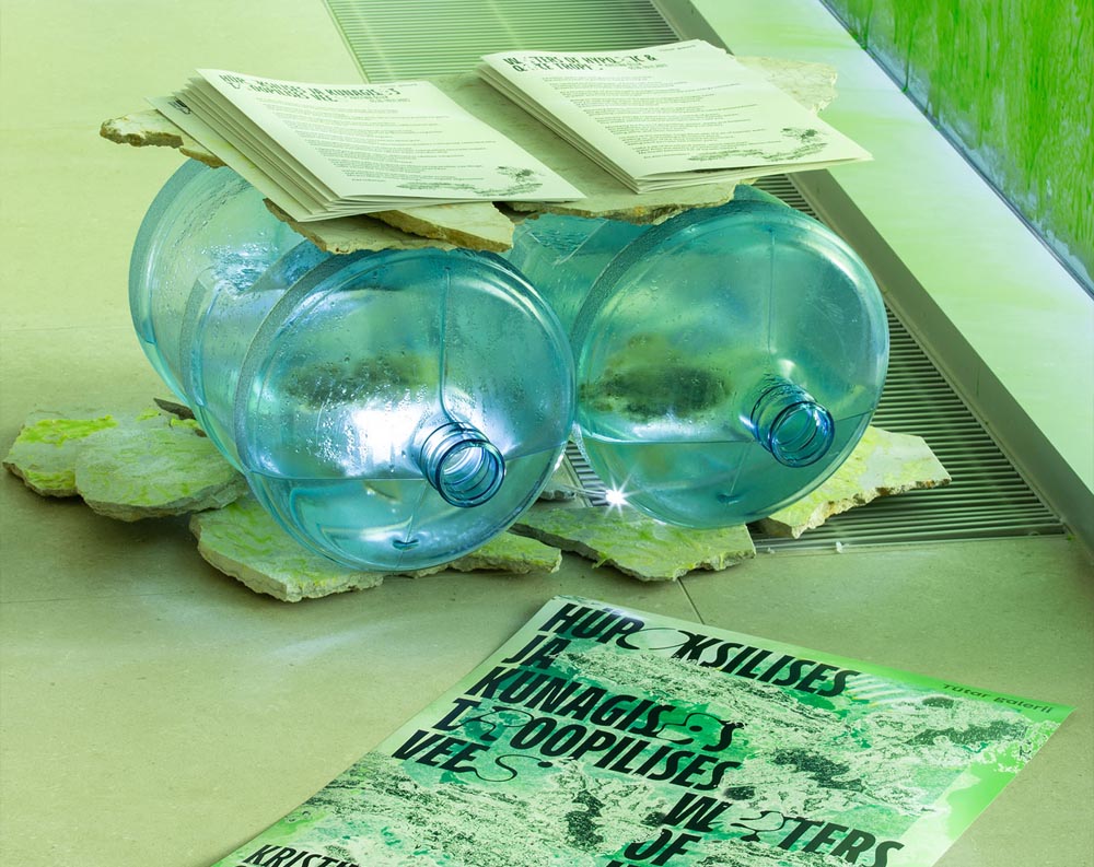 WATERS OF HYPOXIC & ONCE TROPIC — Kristina Õllek at Tütar gallery, Tallinn