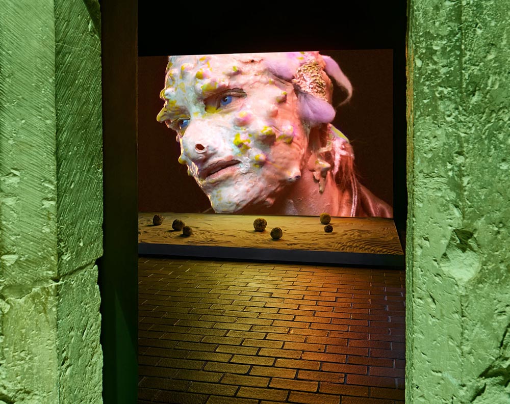 THE GARDEN OF PROBLEMS — Jakub Jansa @Stone Bell House, Prague