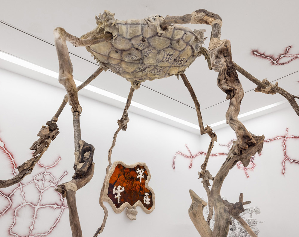 CALCIUM CARBONATE — Stach Szumski @foksal gallery, Warsaw