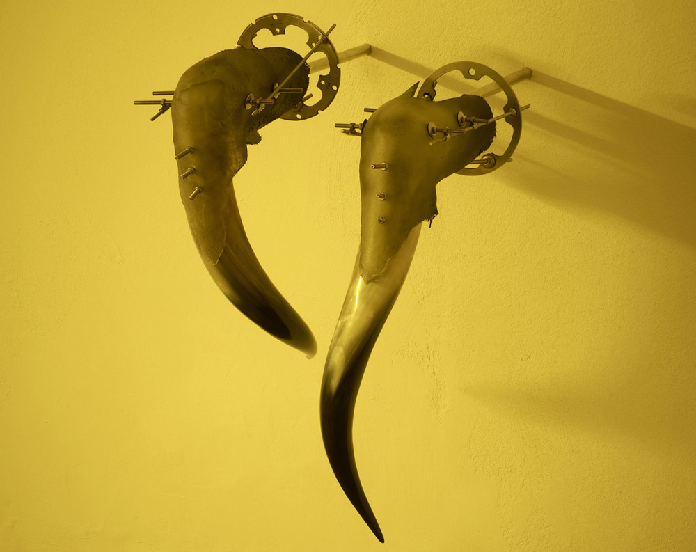 METAL MEMORY — Aliona Ciobanu, Sophia Gatzkan @LIMBO, Milan