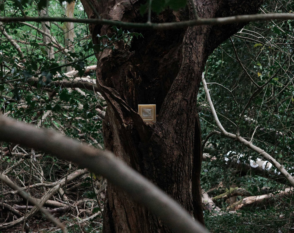 FUNDAMENT — off-site group show by 1:4:9 group @the New Forest, UK