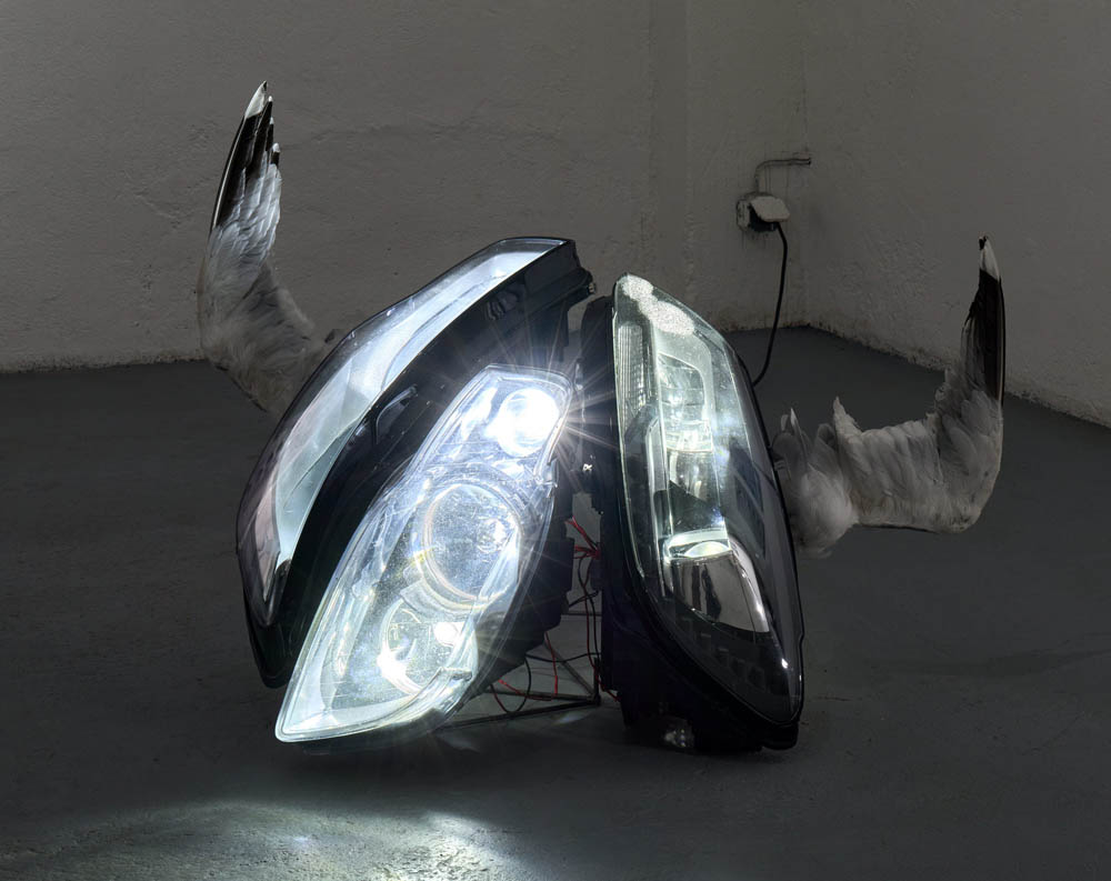 WITH FEATHERS AND FLESH — Paula Gogola & Hanna Antonsson @Holešovická šachta, Prague