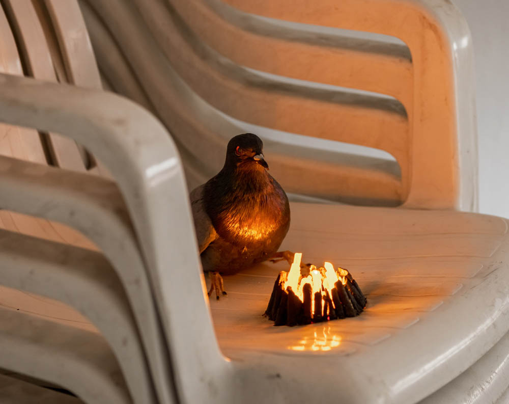 THE BACKROOMS — Group show curated by Georg Juranek @Amsinckstraße 45, Hamburg