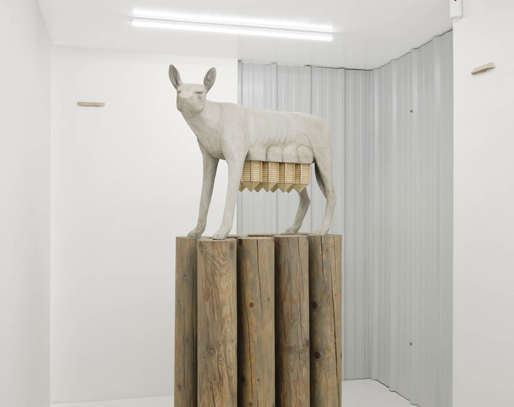 PULSES WITHIN — Xolo Cuintle @DS Galerie, Paris