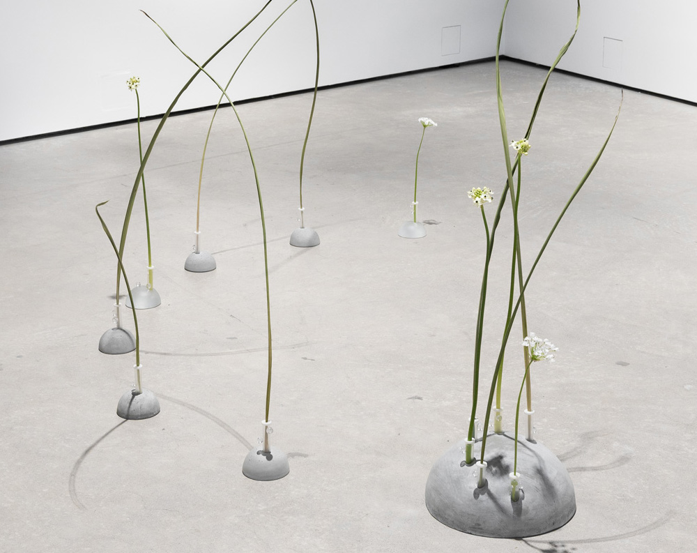 BUNNY TRAP — Marjaana Rantala @Kuva/Tila, the Academy of Fine Arts, Helsinki