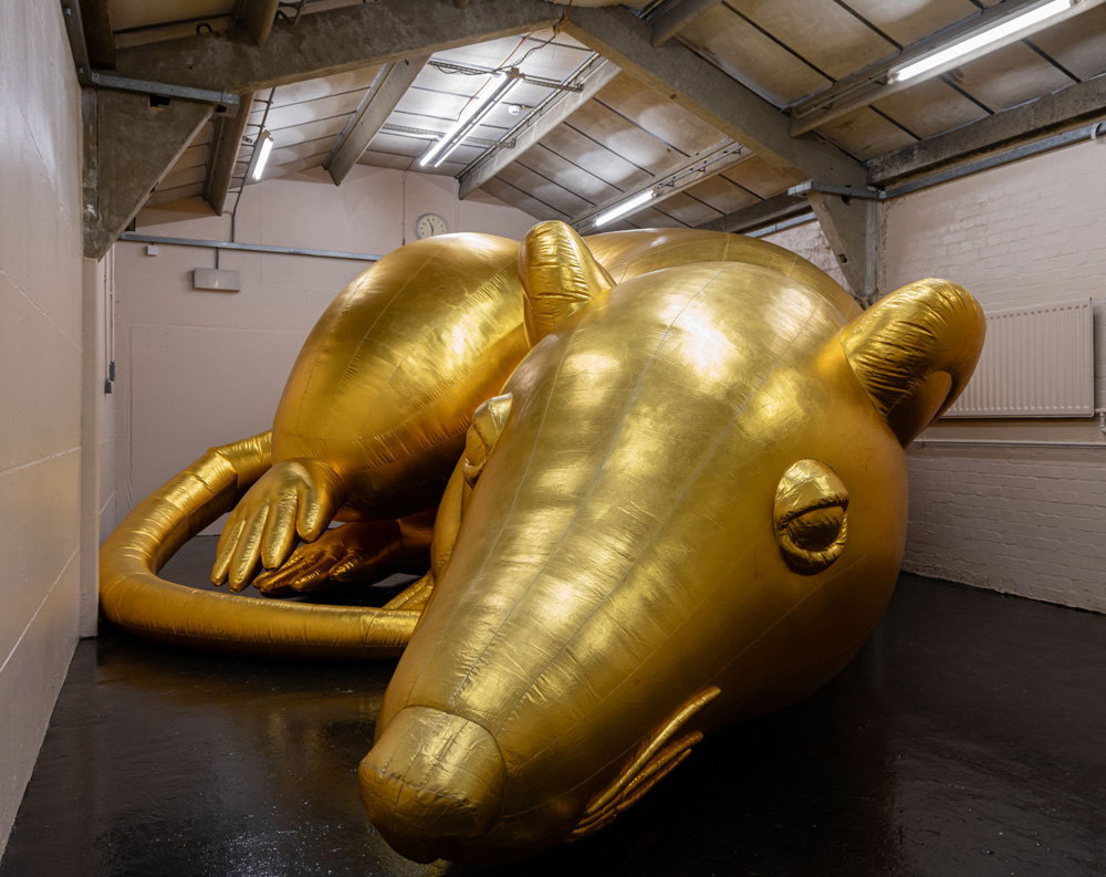 LIONS — Esben Weile Kjær @St. Chads, London