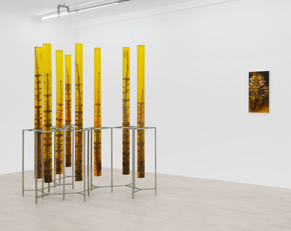 AUßERKÖRPERLICHE ERFAHRUNG: WANDERING SPIRIT — Jura Shust @management, New York