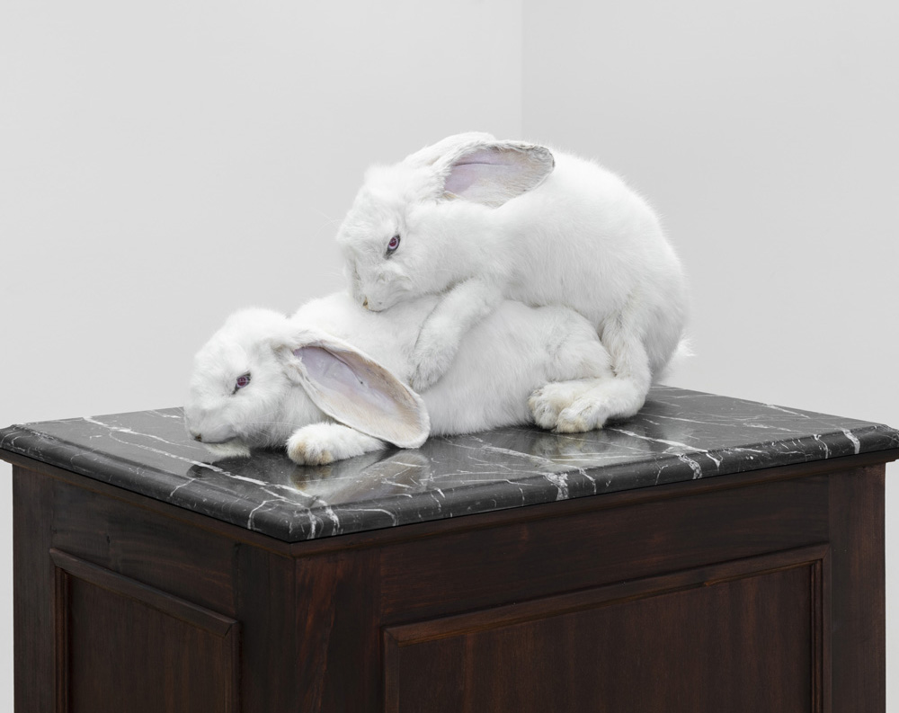 ELEGIA — Tudor Ciurescu @VUNU gallery, Vienna