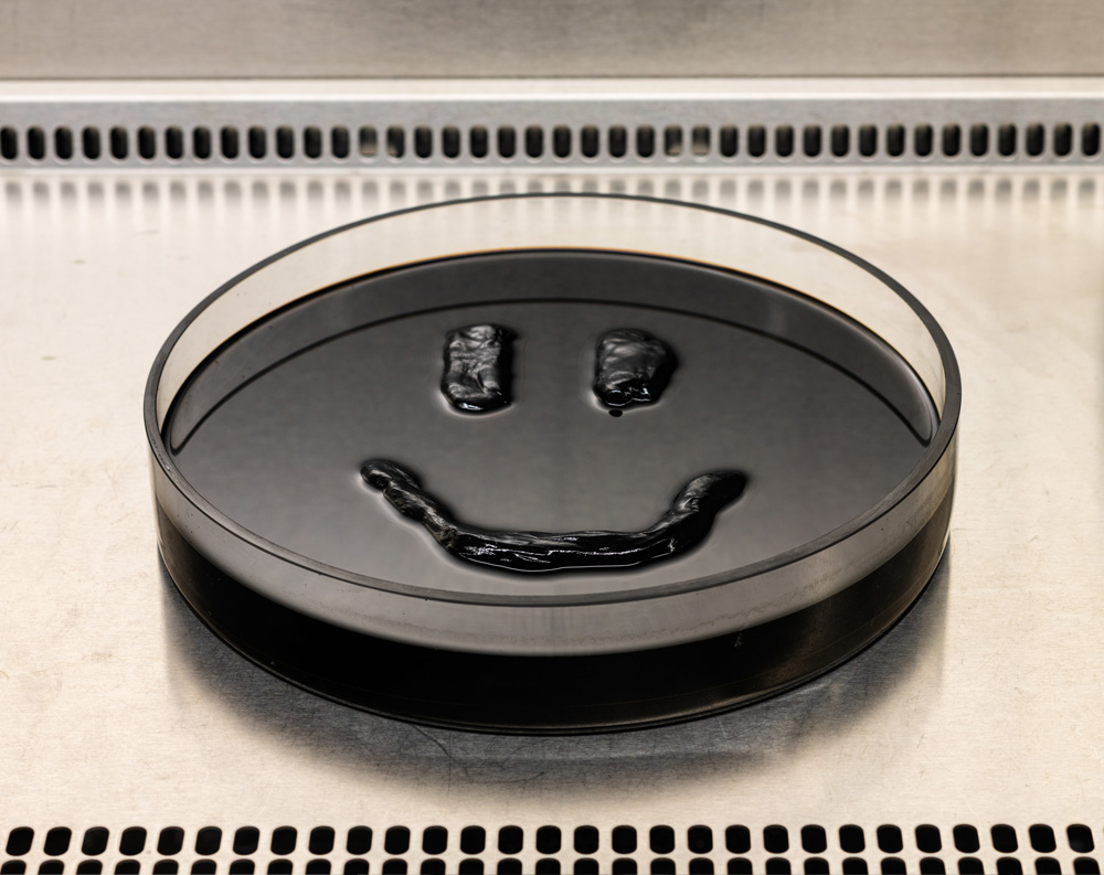 FOLKLORE — Anthony Discenza @Leroy’s, Los Angeles