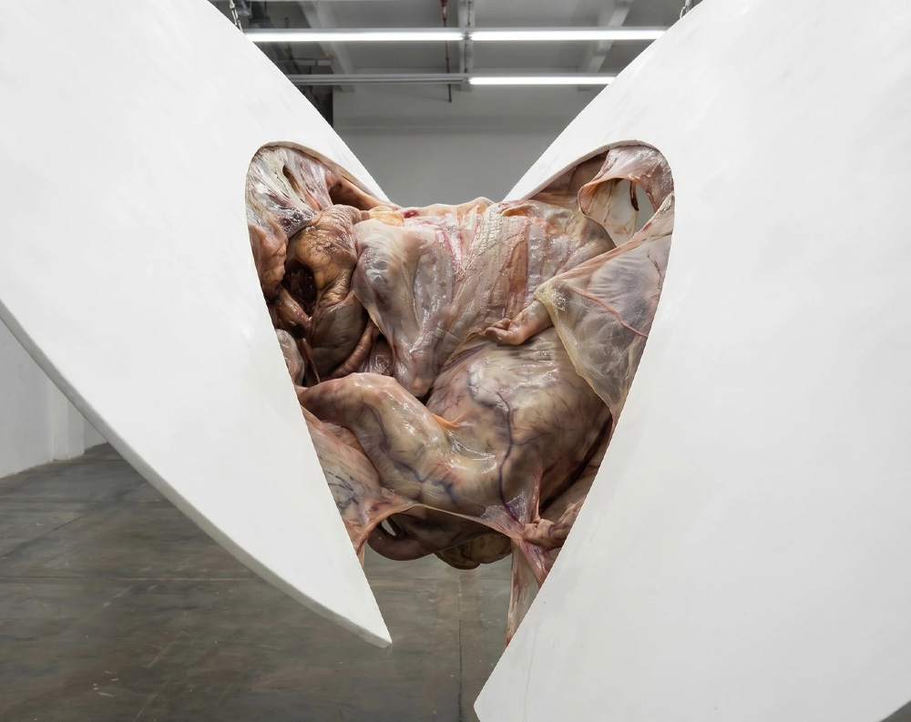 Special Insight: Nanobiology and Artistic Dynamics on the Threshold of the Implanted Aesthetic