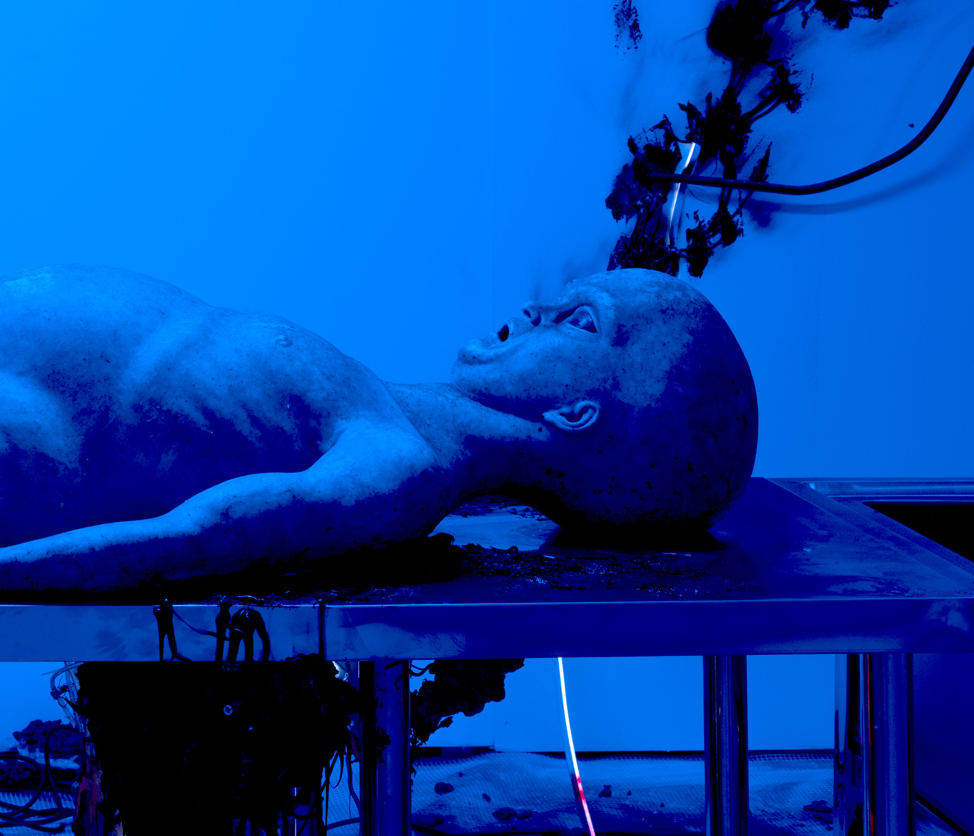 AUTOPSY — Group exhibition assembled by Joey Holder @Seventeen, London