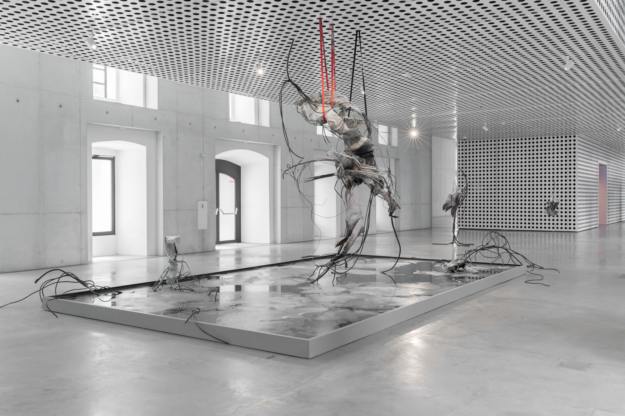ACCOMPLICE —  Yein Lee @Cukrarna, Ljubljana